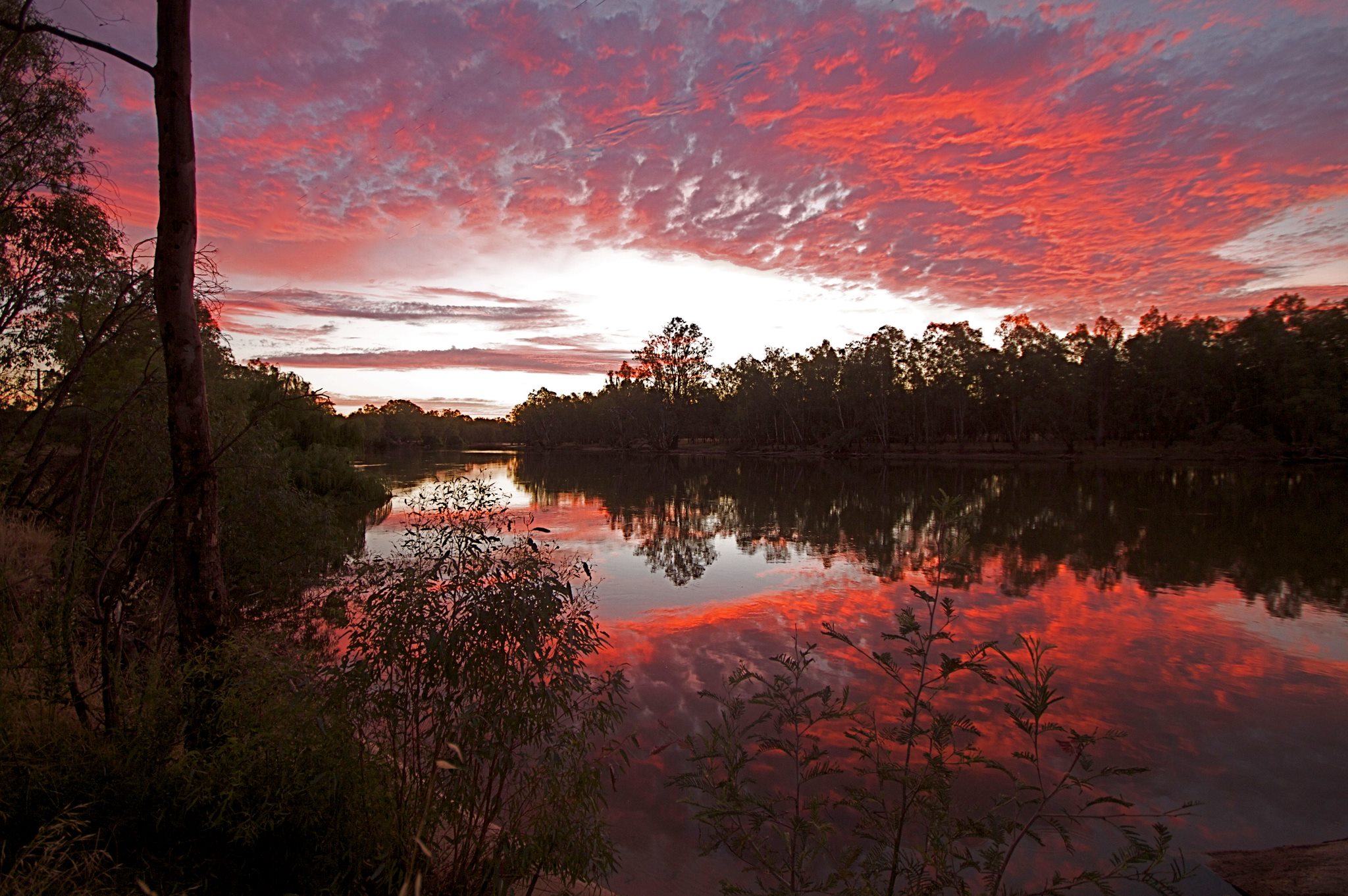 Rutherglen, Camping