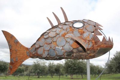 Angler-Fish-400x266