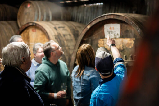 DSOW2025_CHAMBERS_WEBRES-12