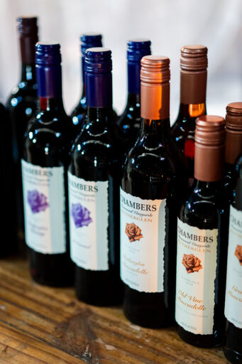 DSOW2025_CHAMBERS_WEBRES-5