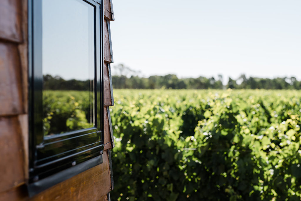 Jones Winery Sleep in the vines