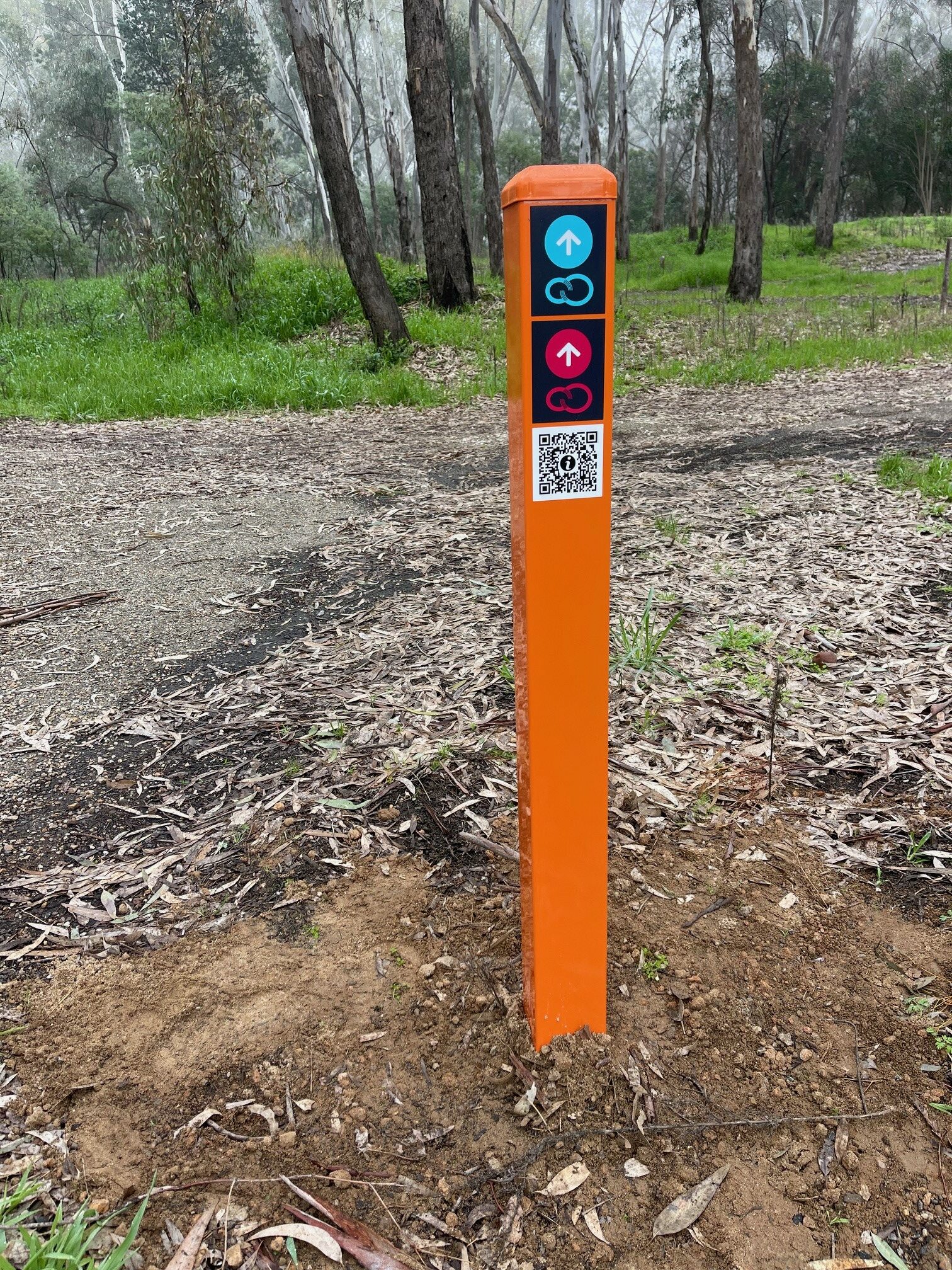 Rutherglen Loops - River Loop - Social Script - Rutherglen