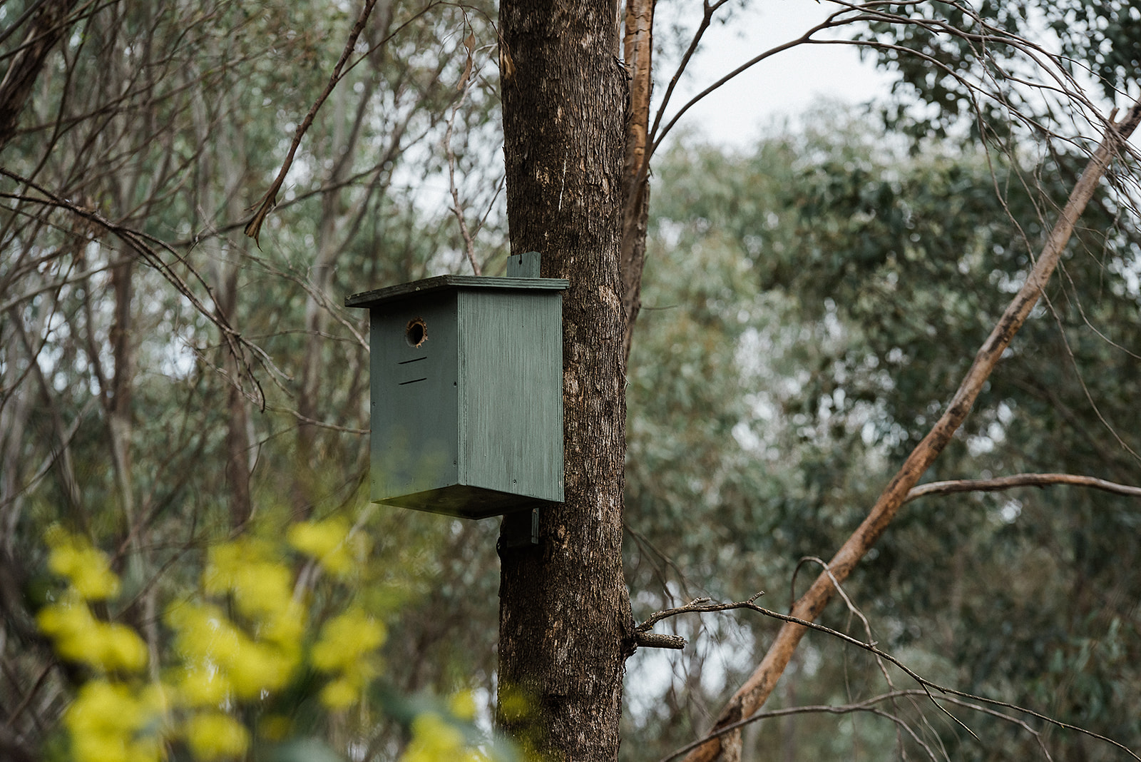 Indigo Shire Council