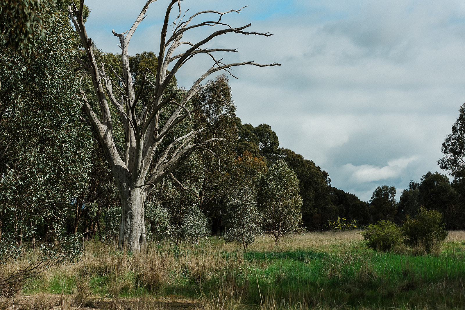 Indigo Shire Council