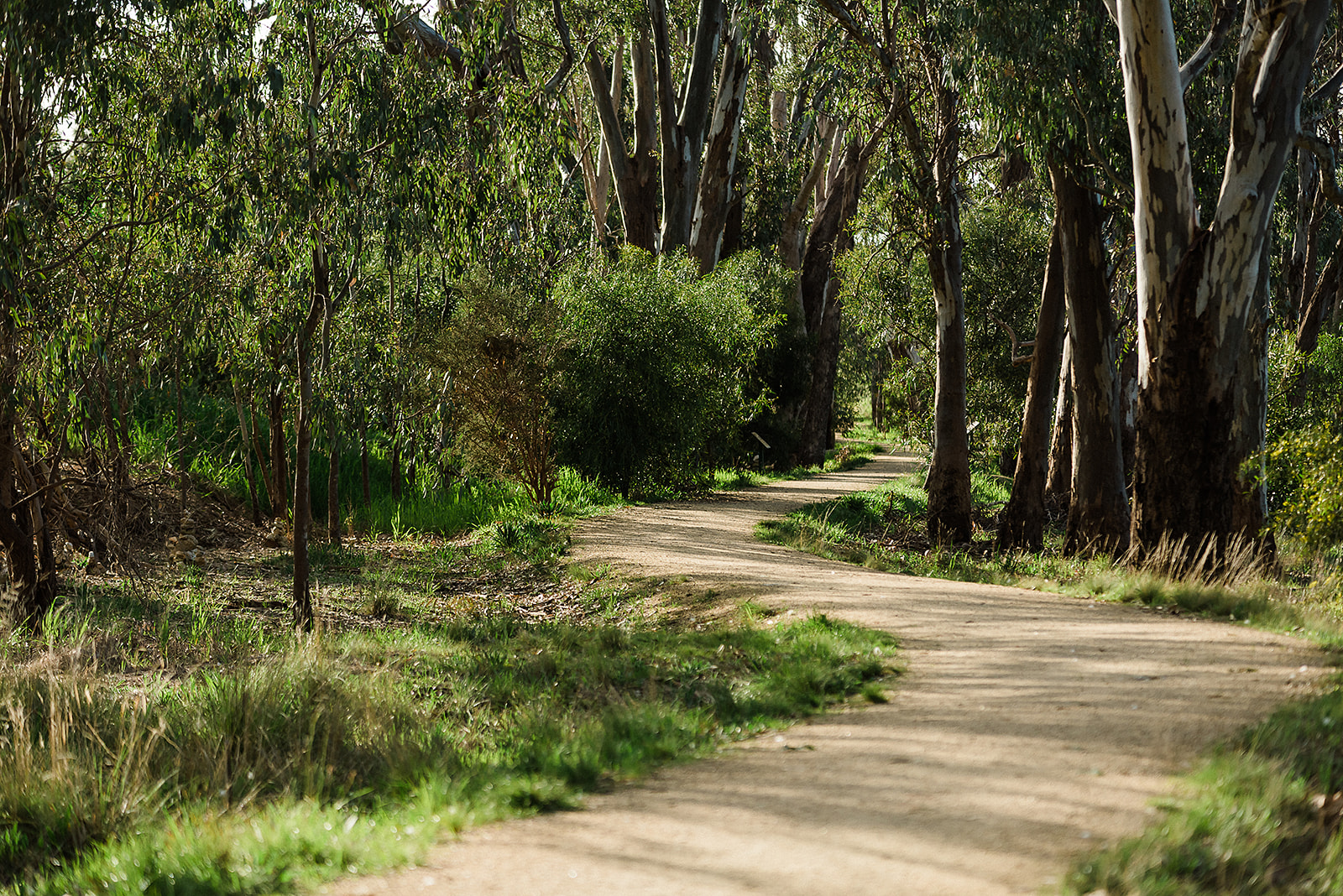 Indigo Shire Council