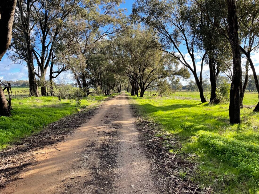 Rutherglen Chiltern Gravel Ride