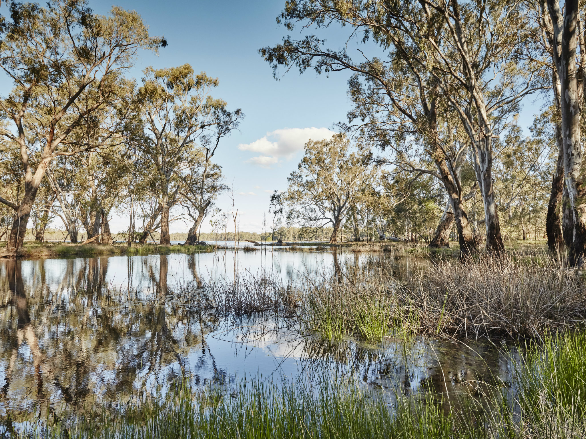 Rutherglen Lake Moodemere - 2