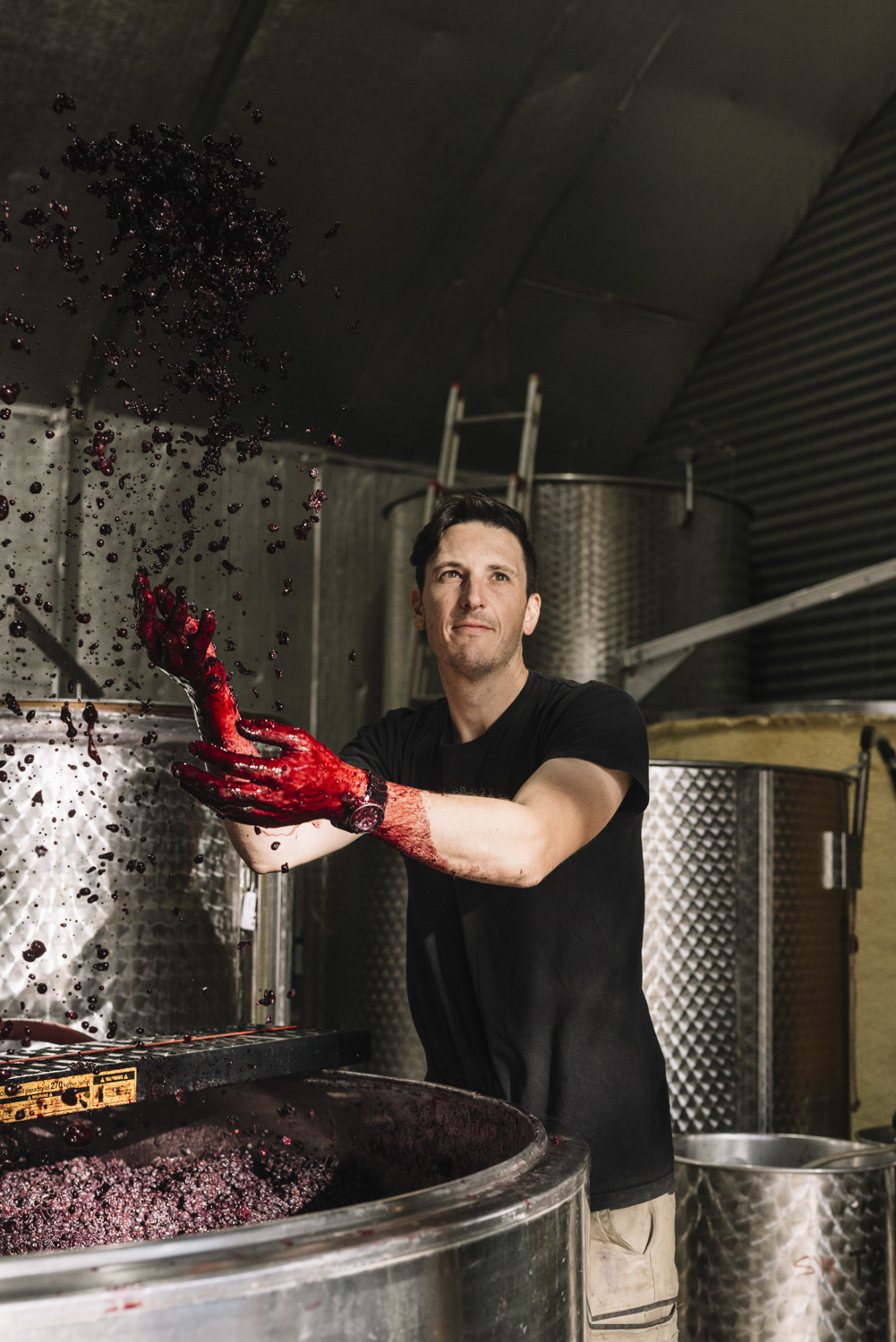 Scion Wine Winemaker Rowly Milhinch Scion Wine Winemaker Rowly Milhinch