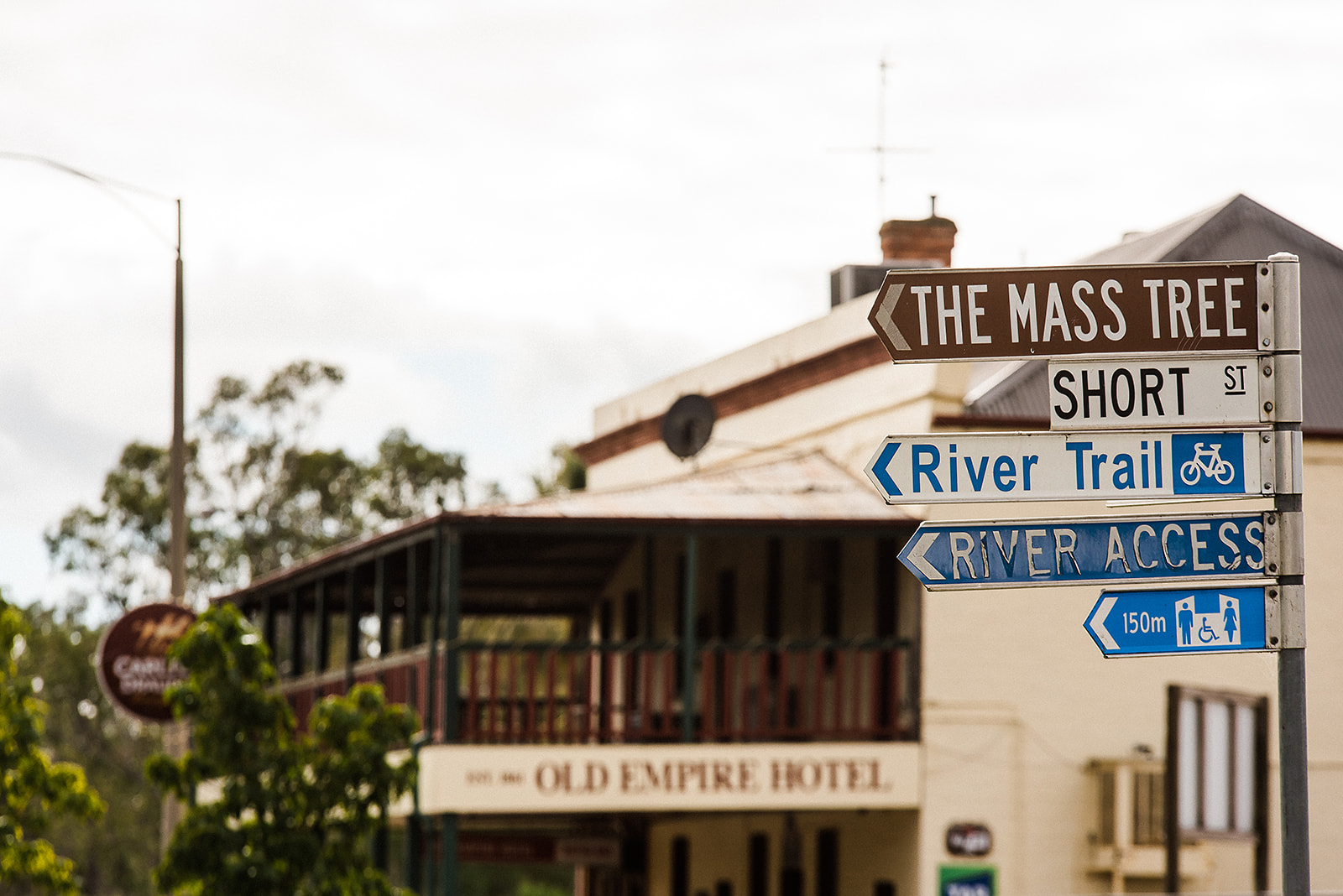 Mass tree - wayfinding