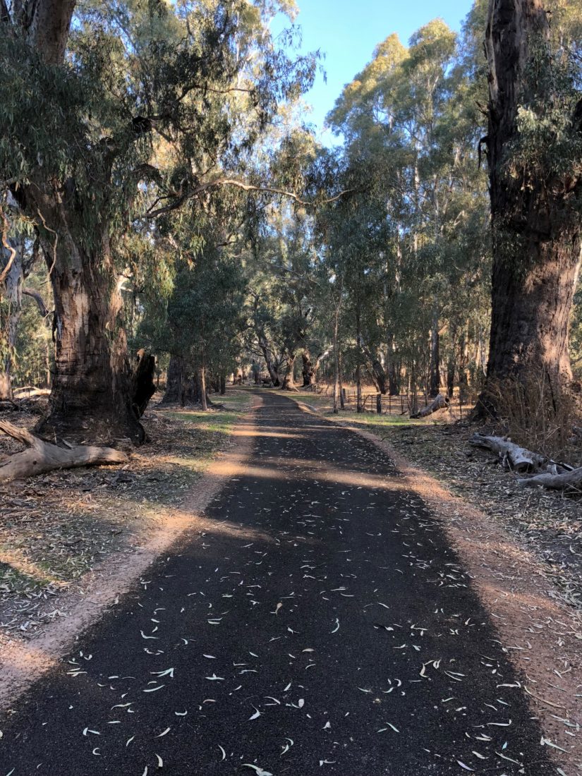 Wahgunyah river walking track - 1