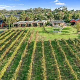 Tuileries  Accommodation at De Bortoli Rutherglen