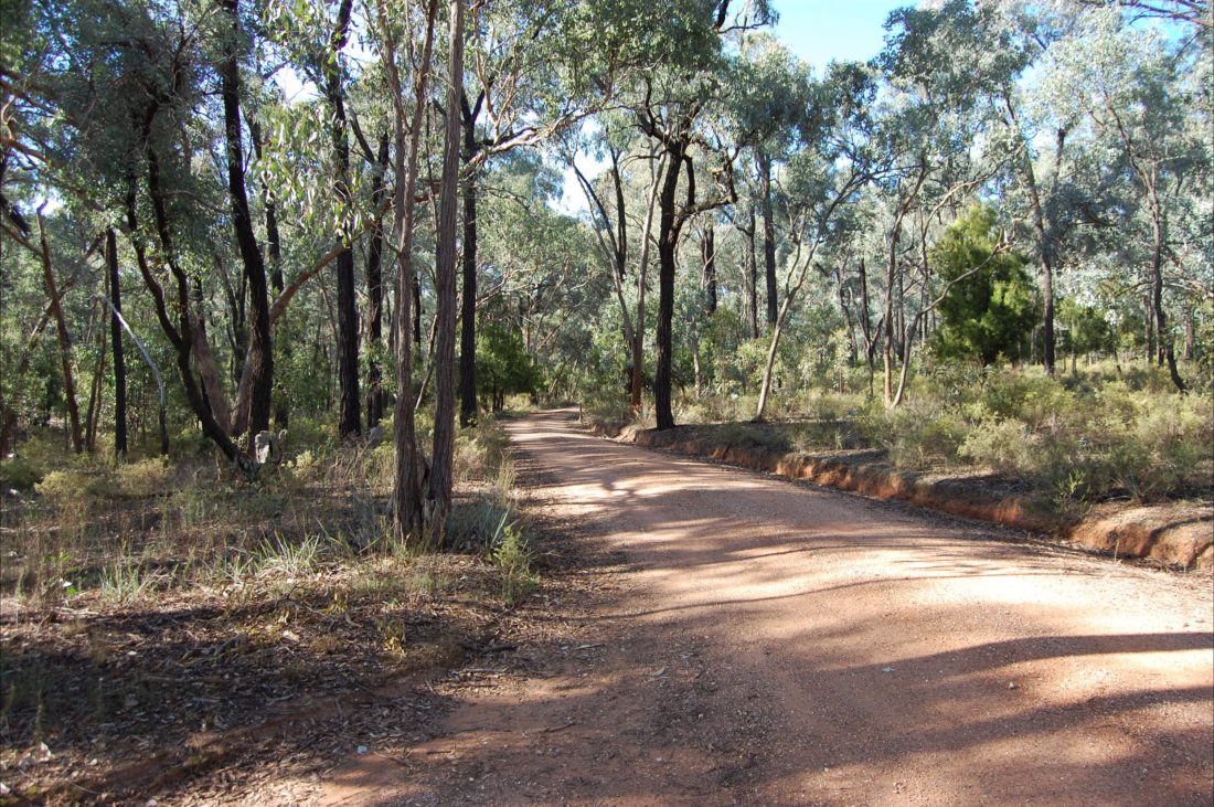 atdw-AU0132207-5943326c505a52c130379791 atdw-AU0132207-5943326c505a52c130379791