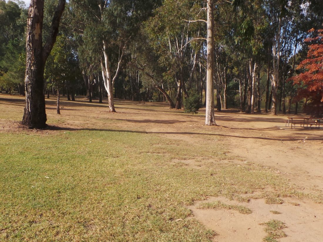 Picnic area at Lions Park South Corowa