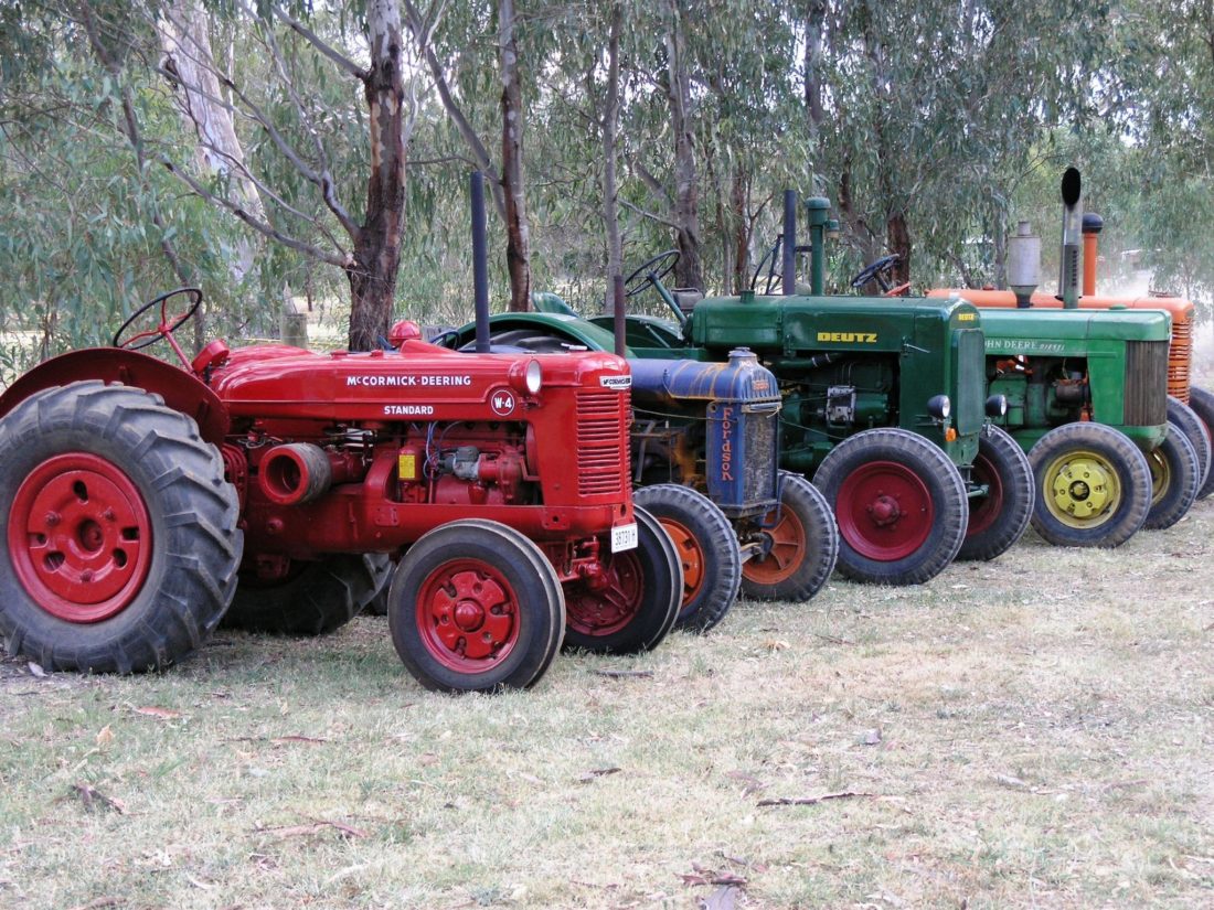 Line up of vintage tractors in a bush paddock