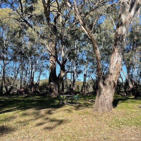 River Loop - Picnic