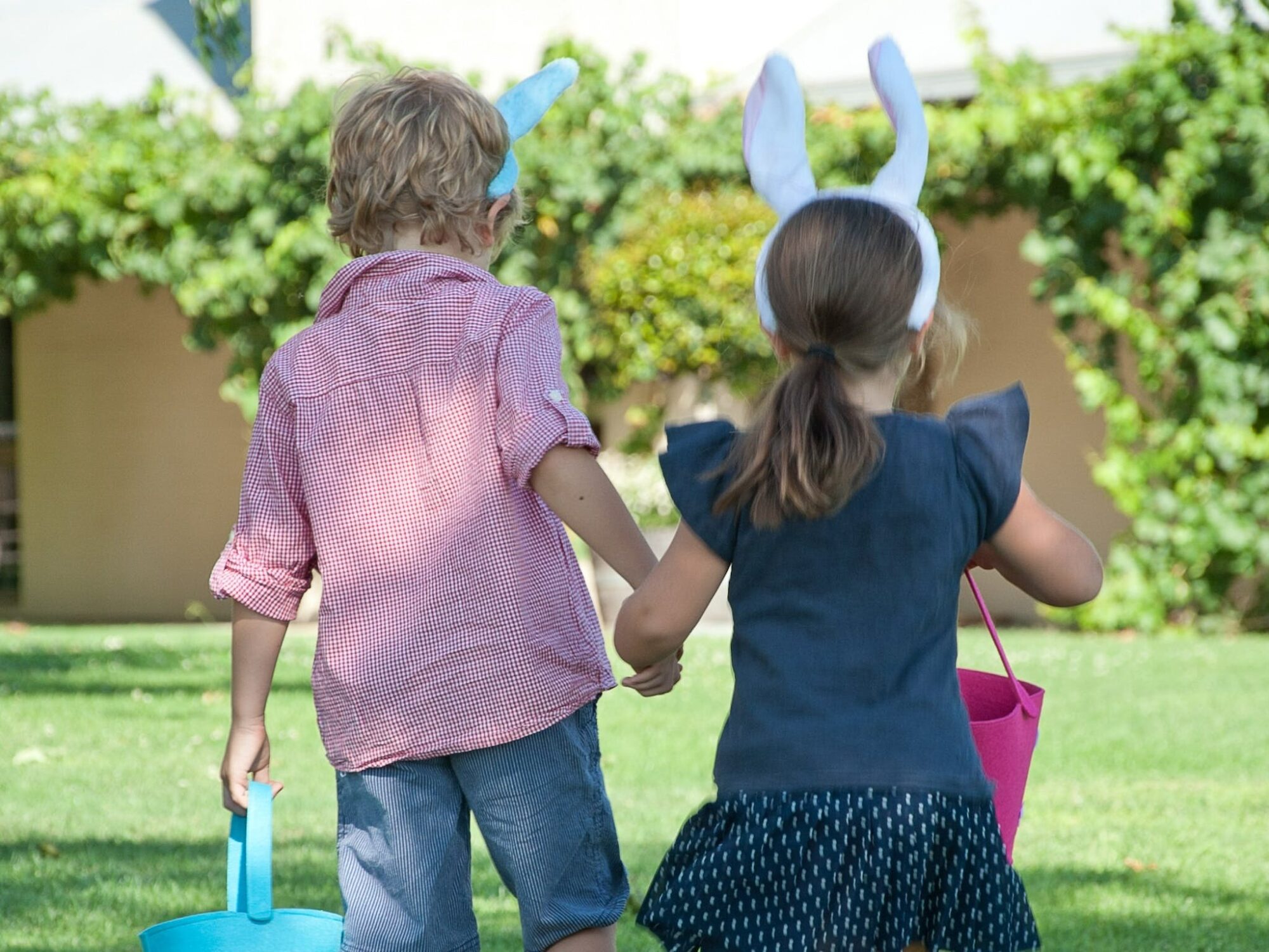 Take the family to Campbells Winery this Easter